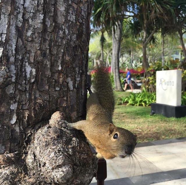 Tanjung Sari Inn Nusa Dua  Luaran gambar